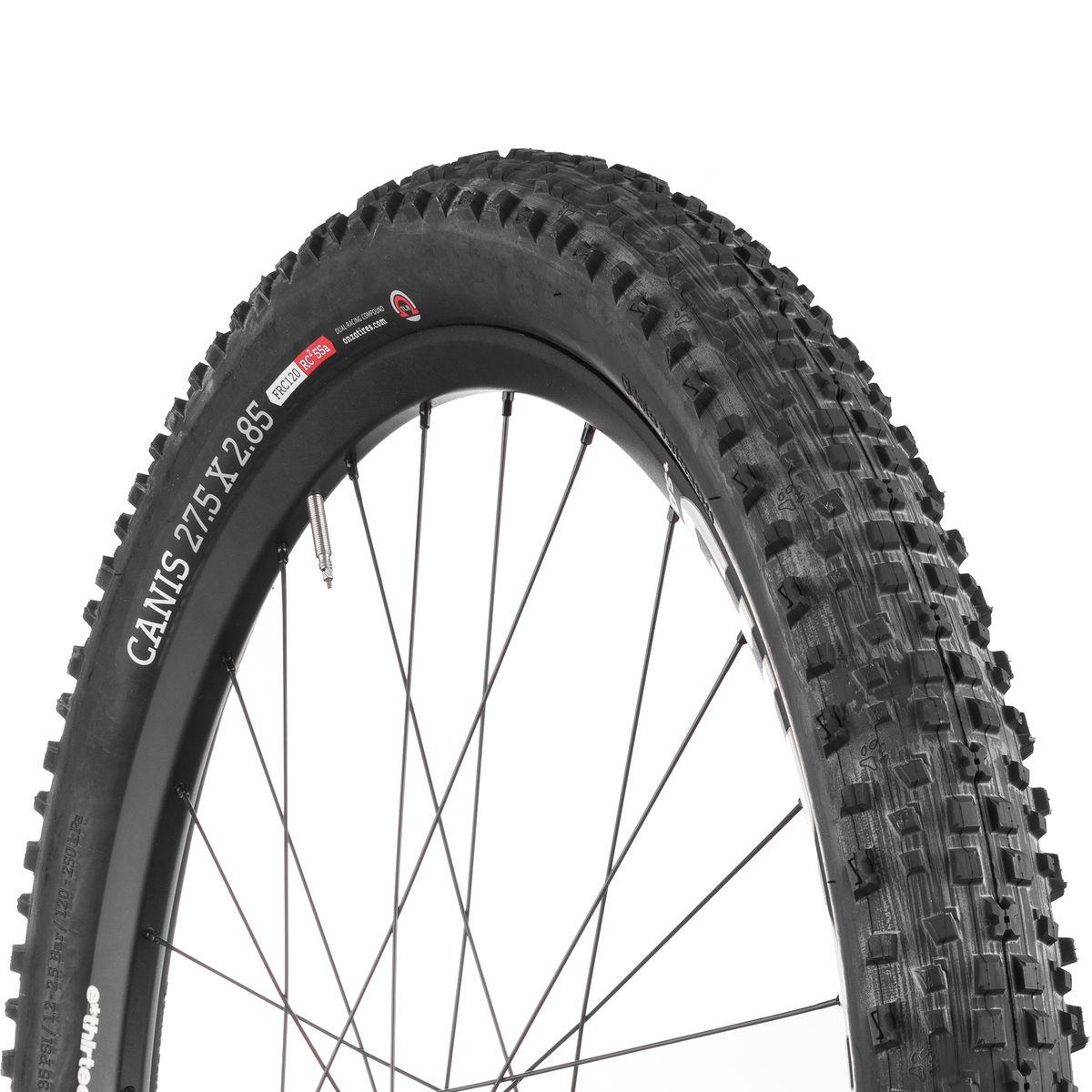 Onza Canis Tubeless Tire 275 Plus