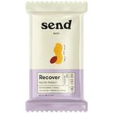 SEND Bars Recover - 8-Pack Salted Peanut, 8 Bars