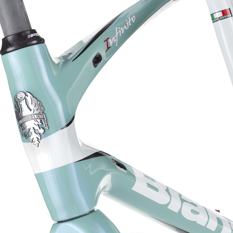 bianchi bike frame