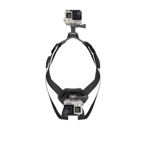 Fetch Dog Harness