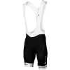 Competitive Cyclist Pilot LE Bib Shorts