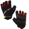 HC Gloves
