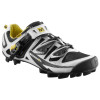Chasm Shoe
