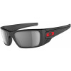 Fuel Cell Polarized Sunglasses