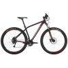 Alma Hydro 29 H70 Bike