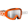 Iris DH Goggles