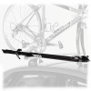 Prologue Bike Mount