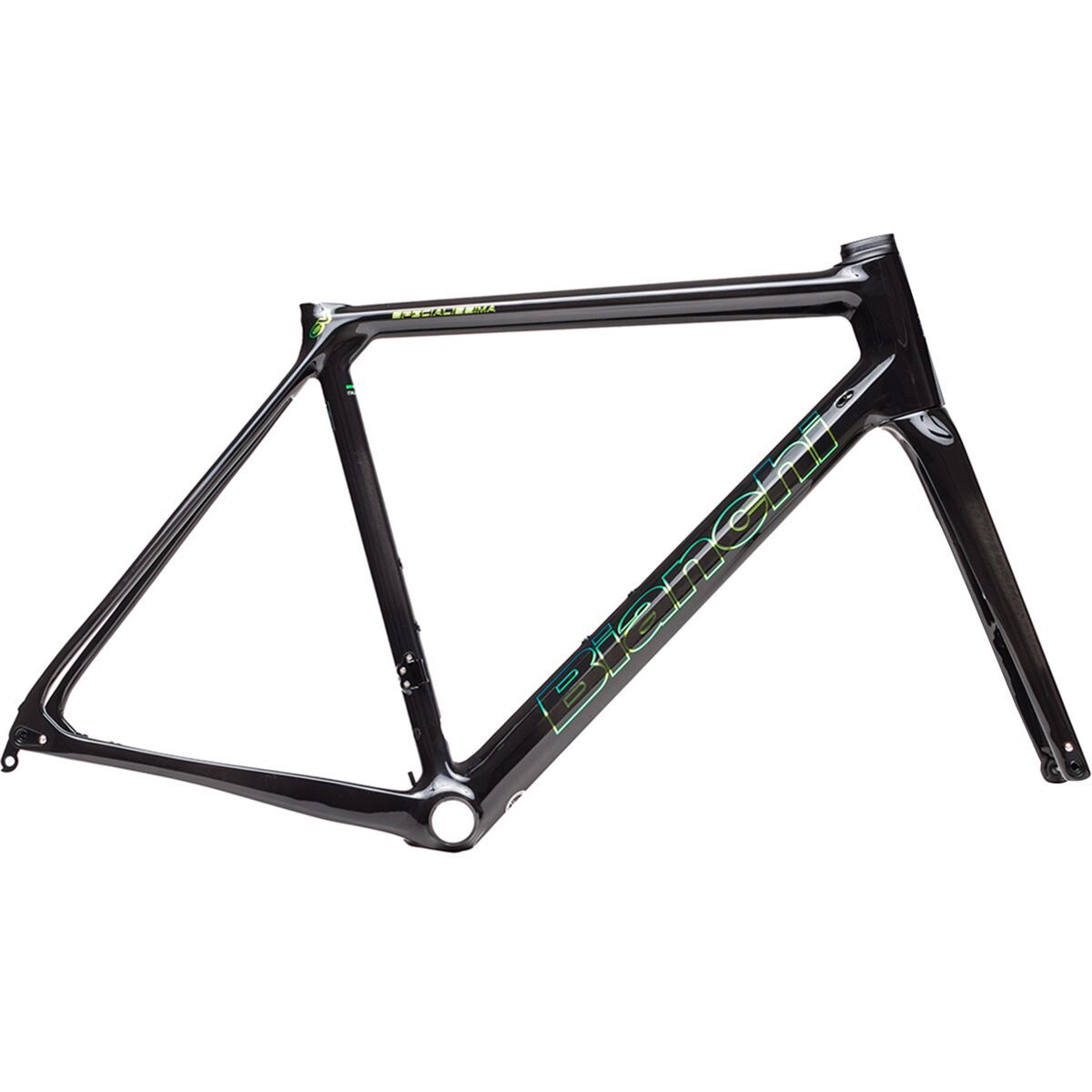 specialissima frame
