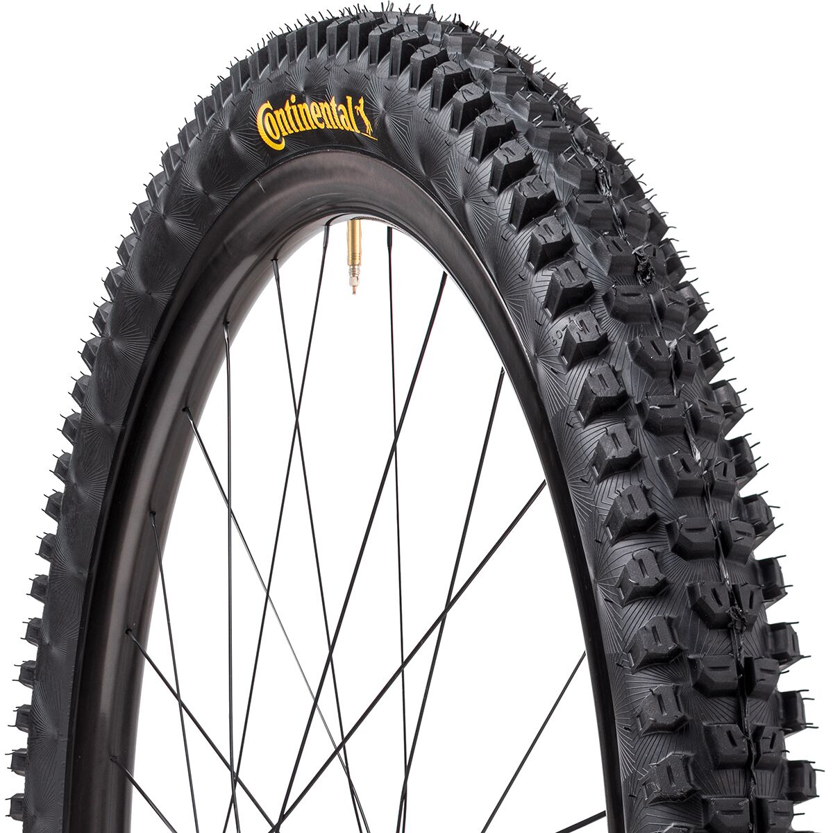 Continental Kryptotal-R 29in Tire DH Casing, Soft Folding, Black, 29x2.4