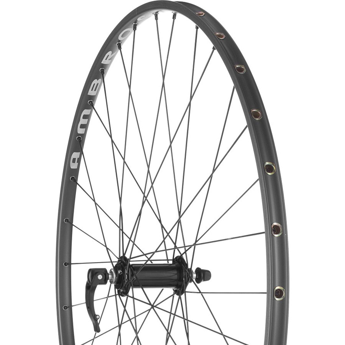 Campagnolo Record/Ambrosio Nemesis Tubular Wheelset - Components