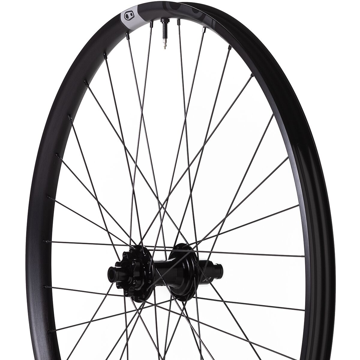 Crank Brothers Crank Brothers Synthesis 1/1 Enduro Boost Wheel - 29in Front, 15x110mm