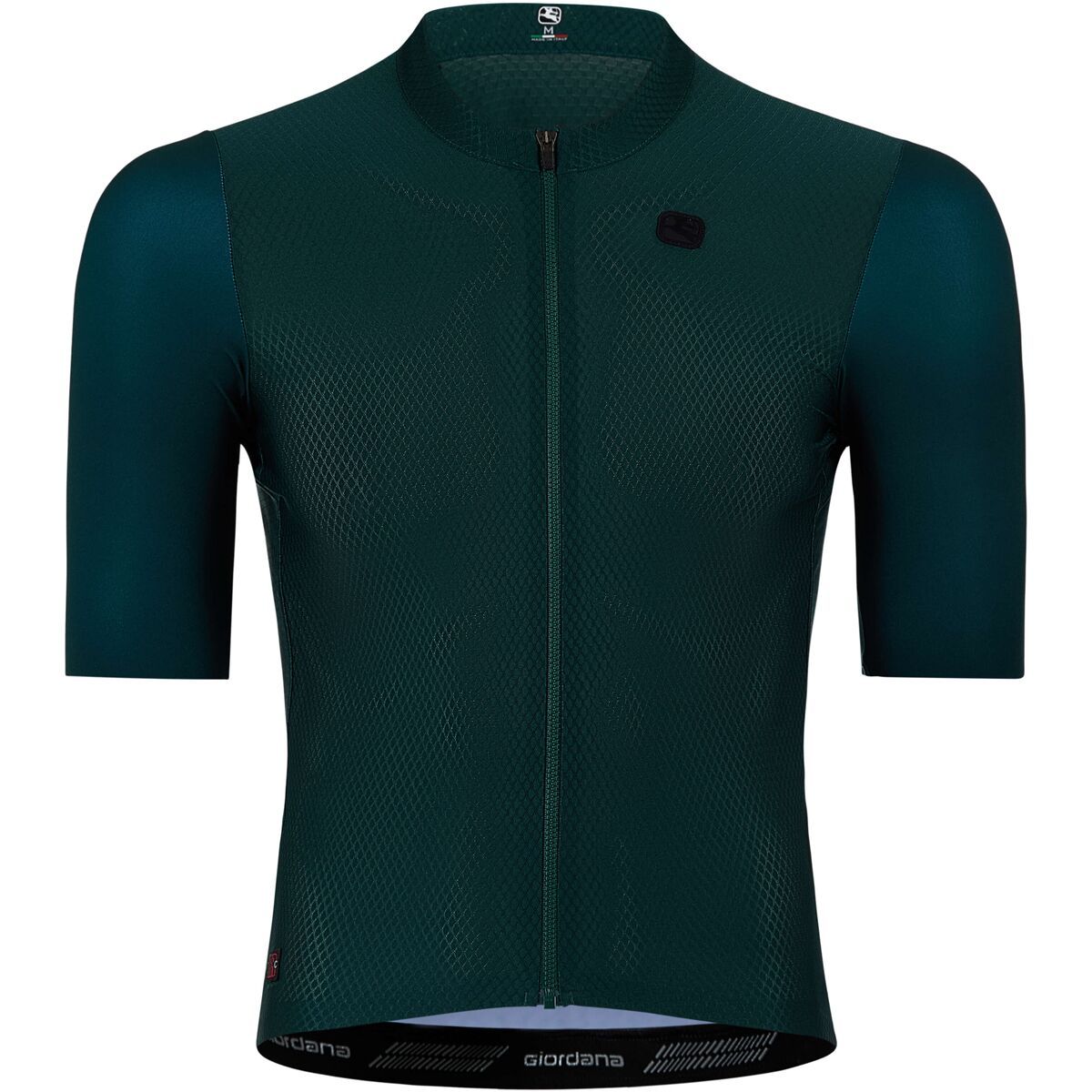 Giordana Giordana FR-C Pro Short-Sleeve Jersey - Men's Sea Moss Green, XXL