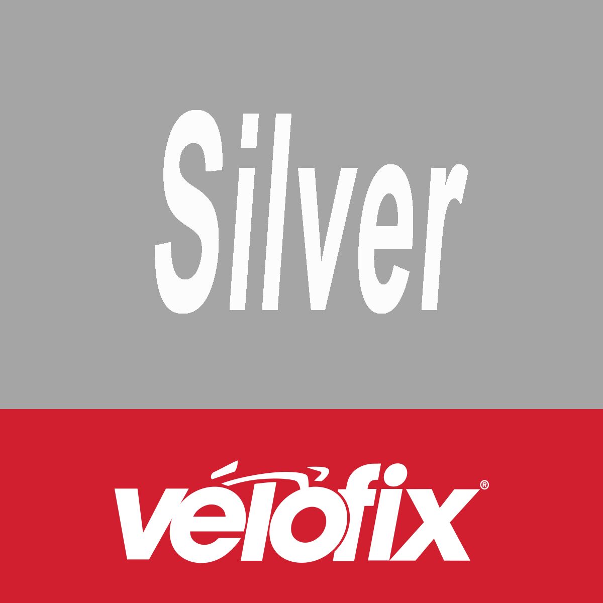 Service & Labor Service & Labor Silver Preventative Maintenance Silver, 2 Year