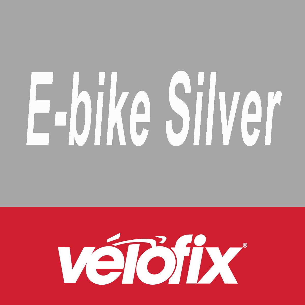 Service & Labor Service & Labor Silver Preventative Maintenance - eBike Silver, 2 Year-eBike