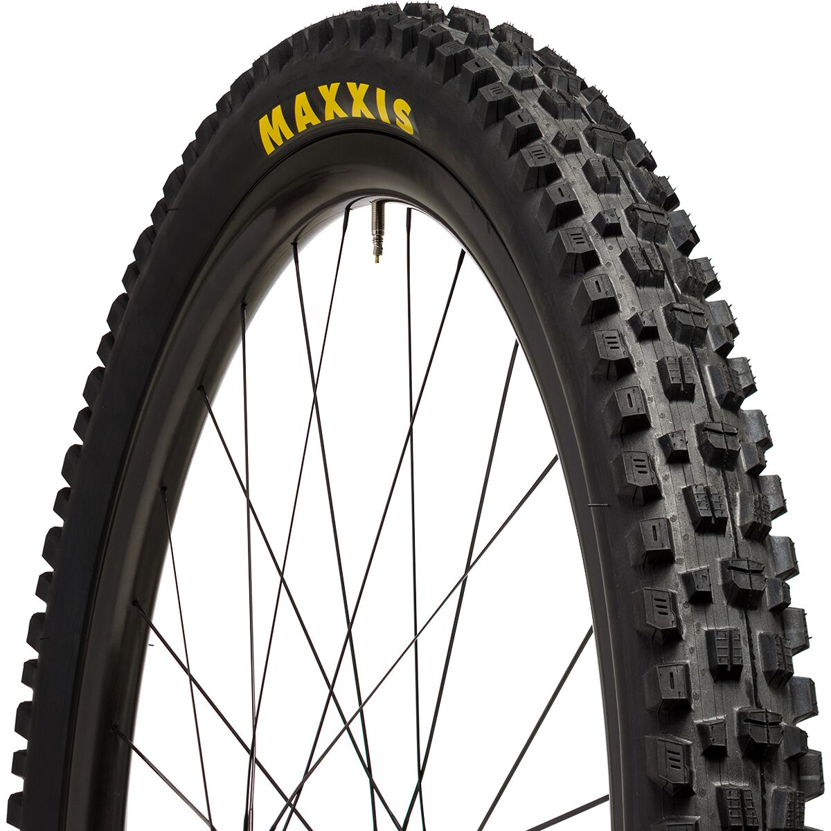 Maxxis Assegai Wide Trail Dual Compound/EXO/TR 29in Tire Dual Compound/EXO/TR, 29x2.6