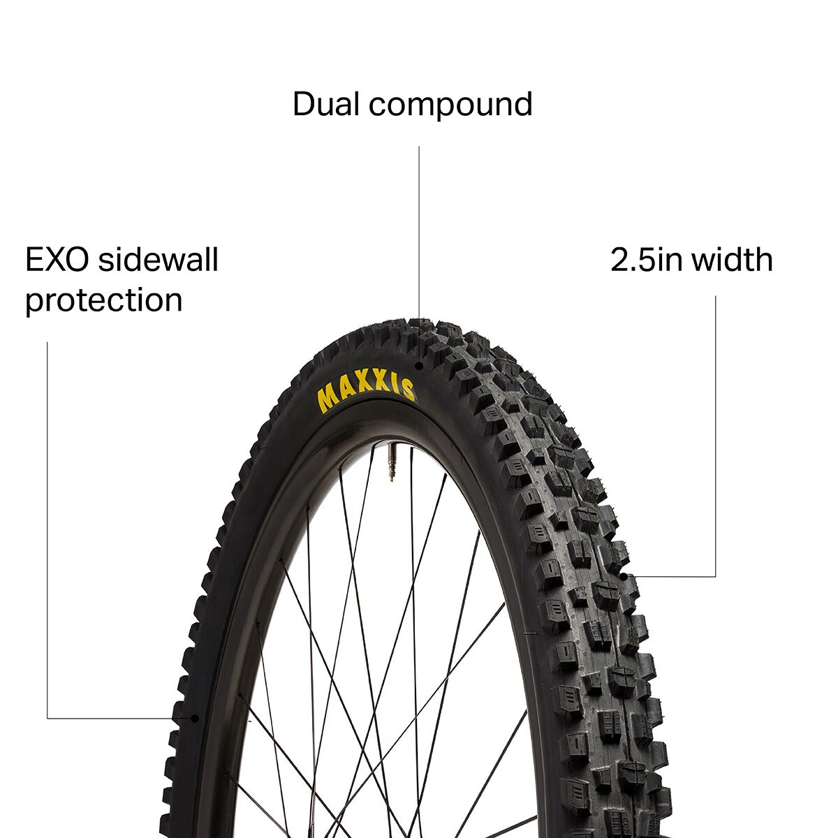 Maxxis Assegai Wide Trail Dual Compound/EXO/TR 29in Tire - Components