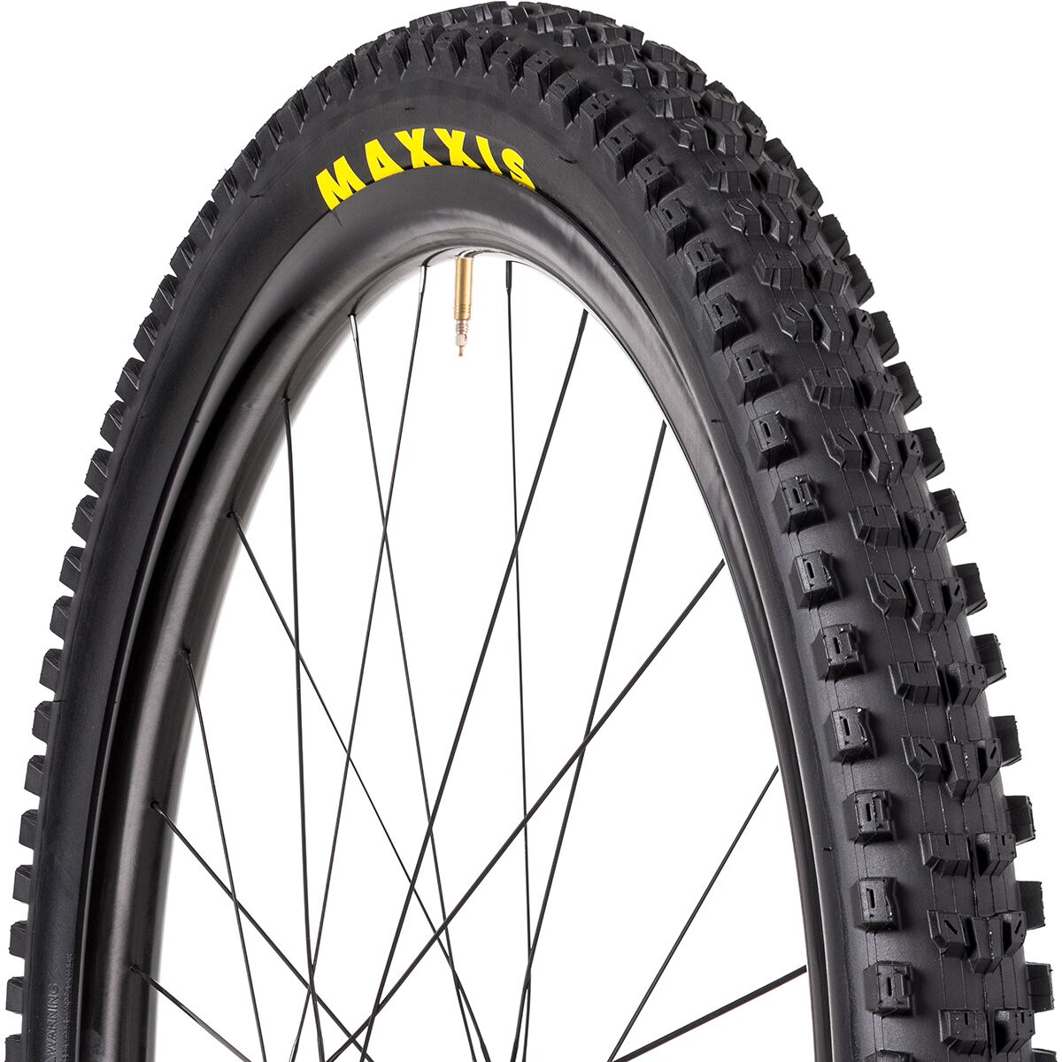 Maxxis Dissector Wide Trail Double Down 3C/TR Tire - 29in Double Down/Maxx Grip/TR, 29x2.4