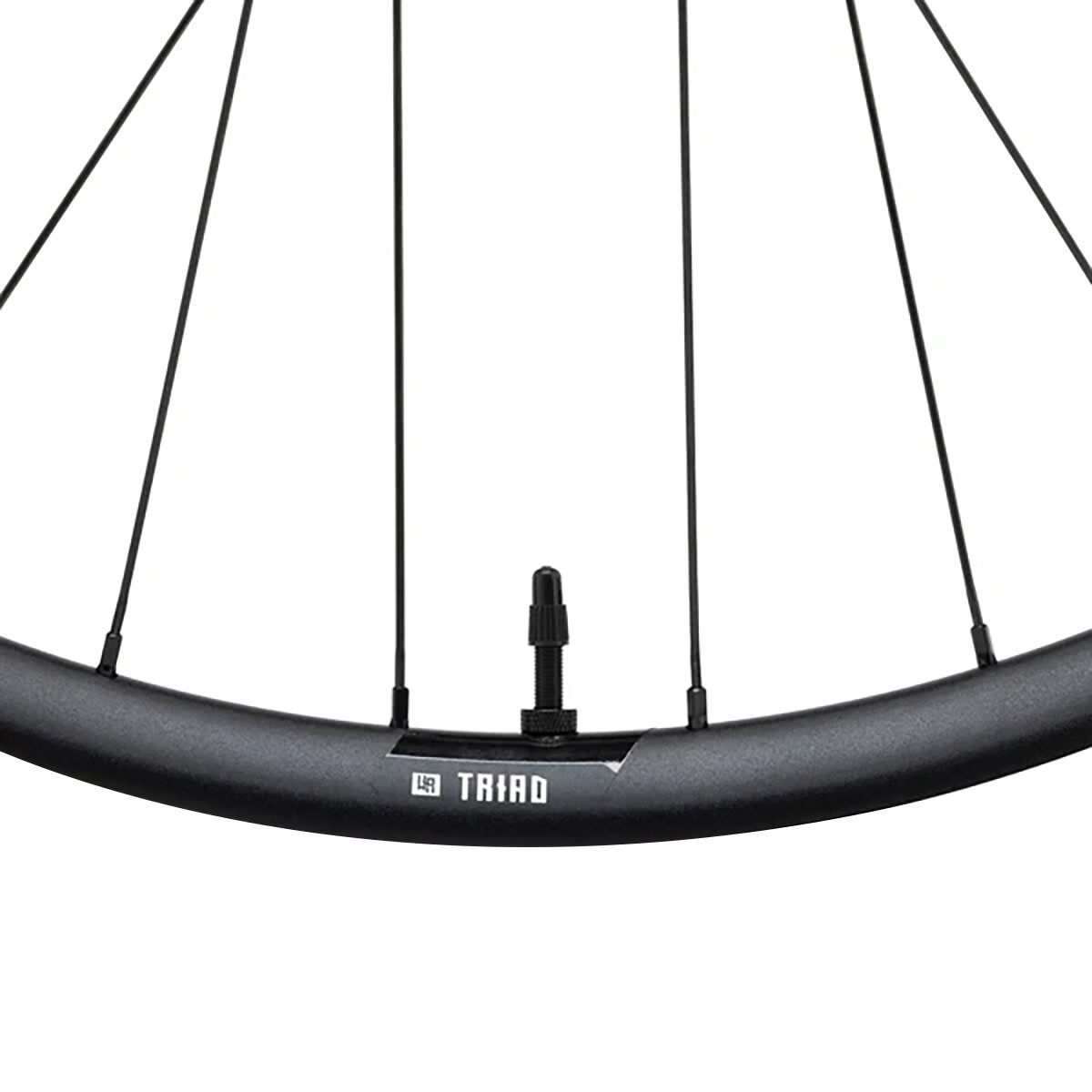 Industry Nine Industry Nine Triad AL Hydra2 Boost 29in Wheel Black, Front, 15x110, 6-bolt