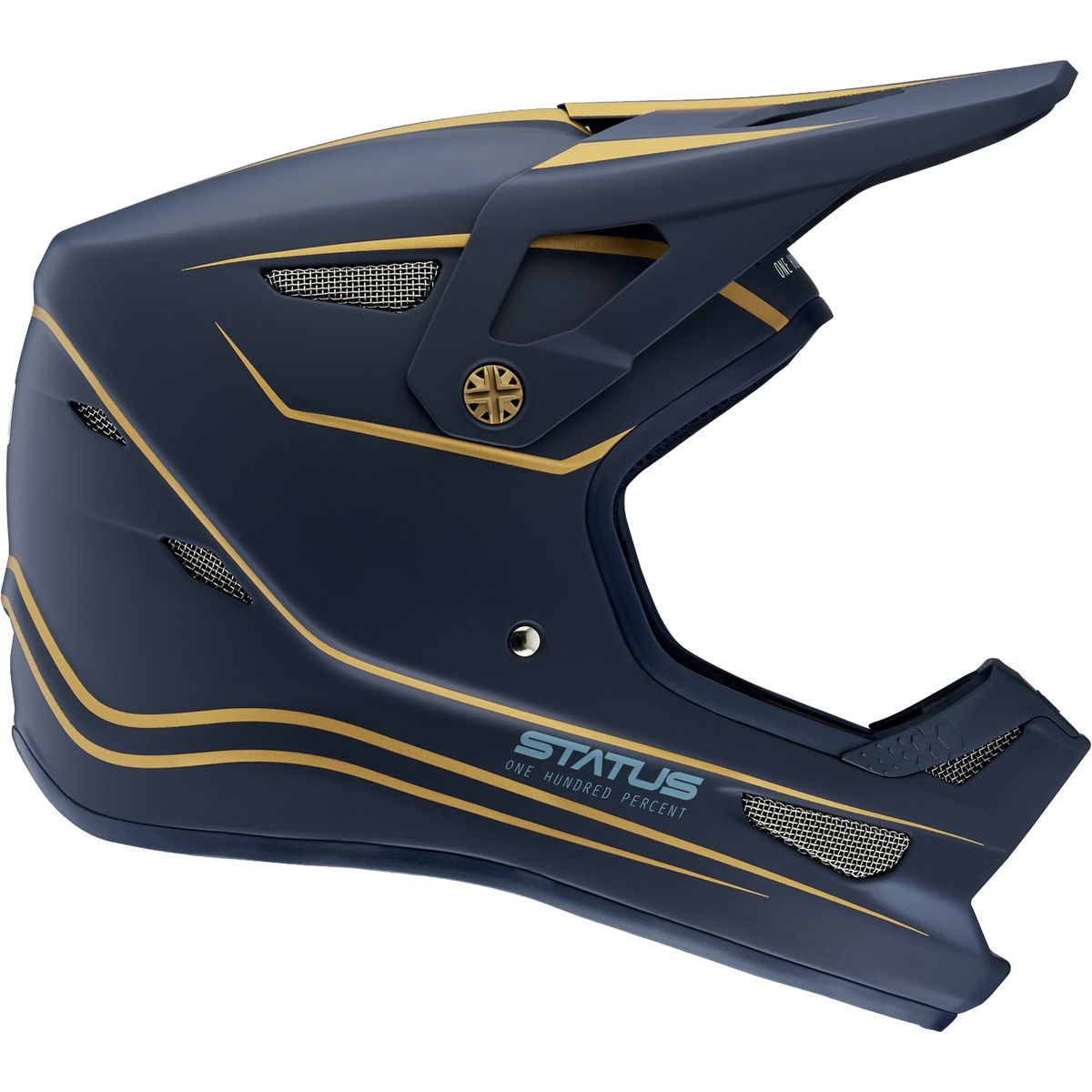 100% Status Helmet product image