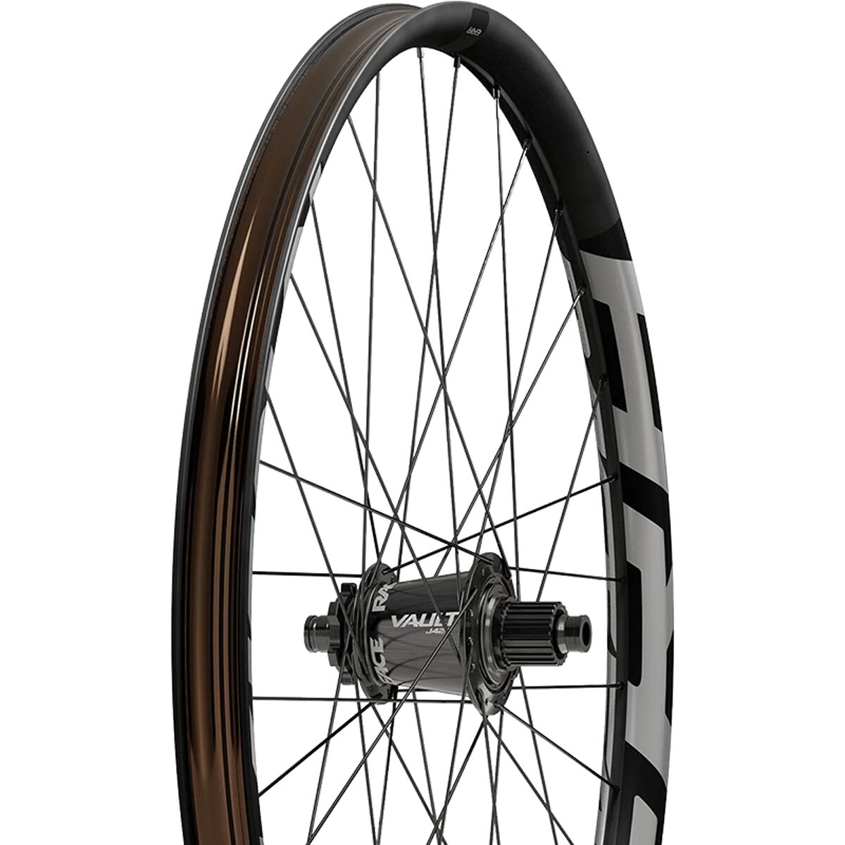 Race Face ERA eMTB 29in Boost Wheel Black, Front, 20x110, 6-Bolt