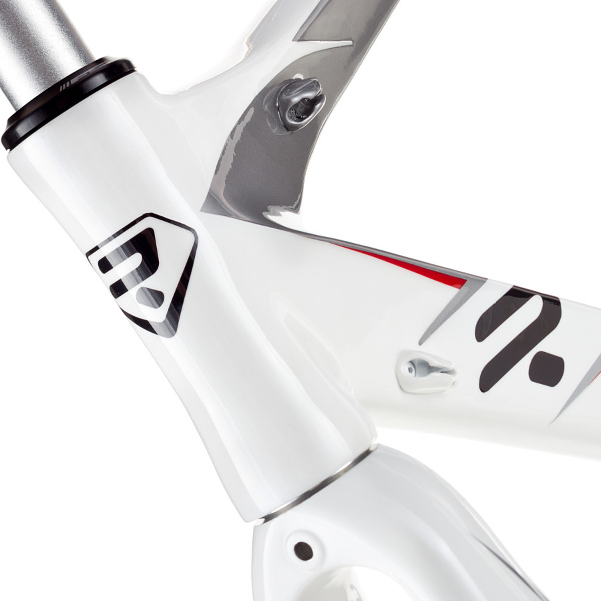 REDLEY ASTERIA カーボンフレームセット REDLEY ASTERIA カーボンフレームセット