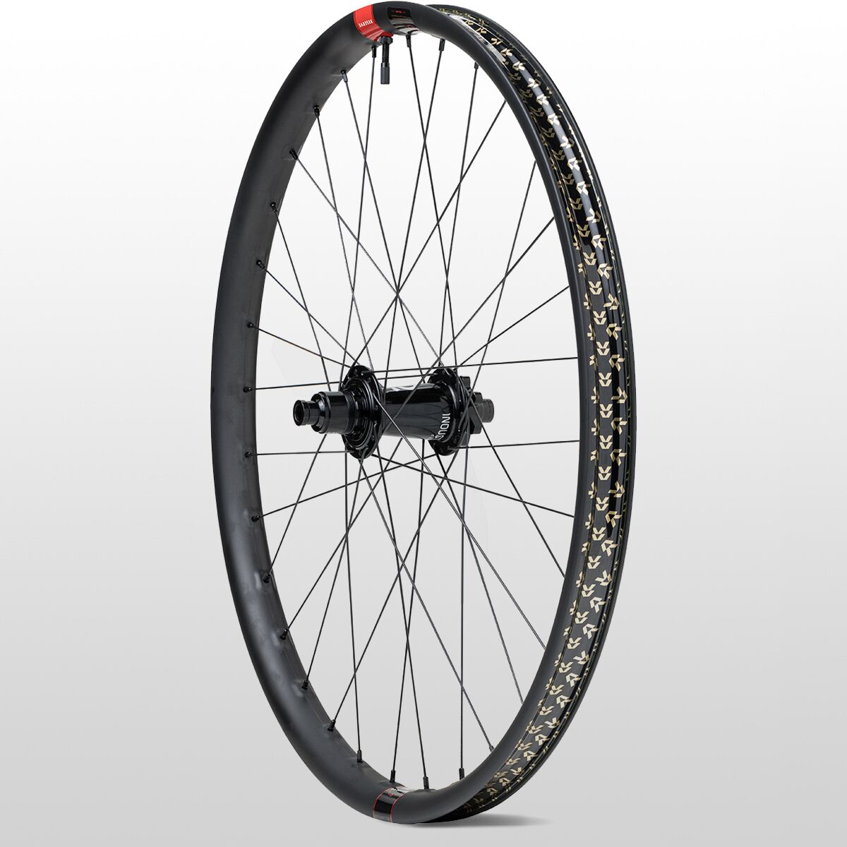 Reserve 31 DH MX i9 Hydra Super Boost Wheelset - Components