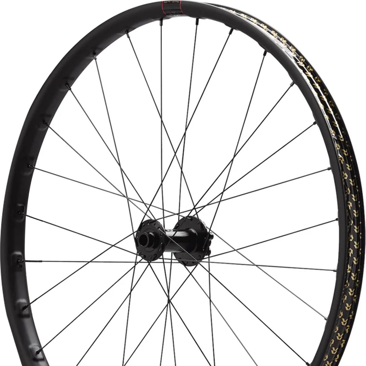 Reserve 30 HD DH Alloy 29in DT 350 Boost Wheelset Black, 20x110/12x157, 6 Bolt, XD