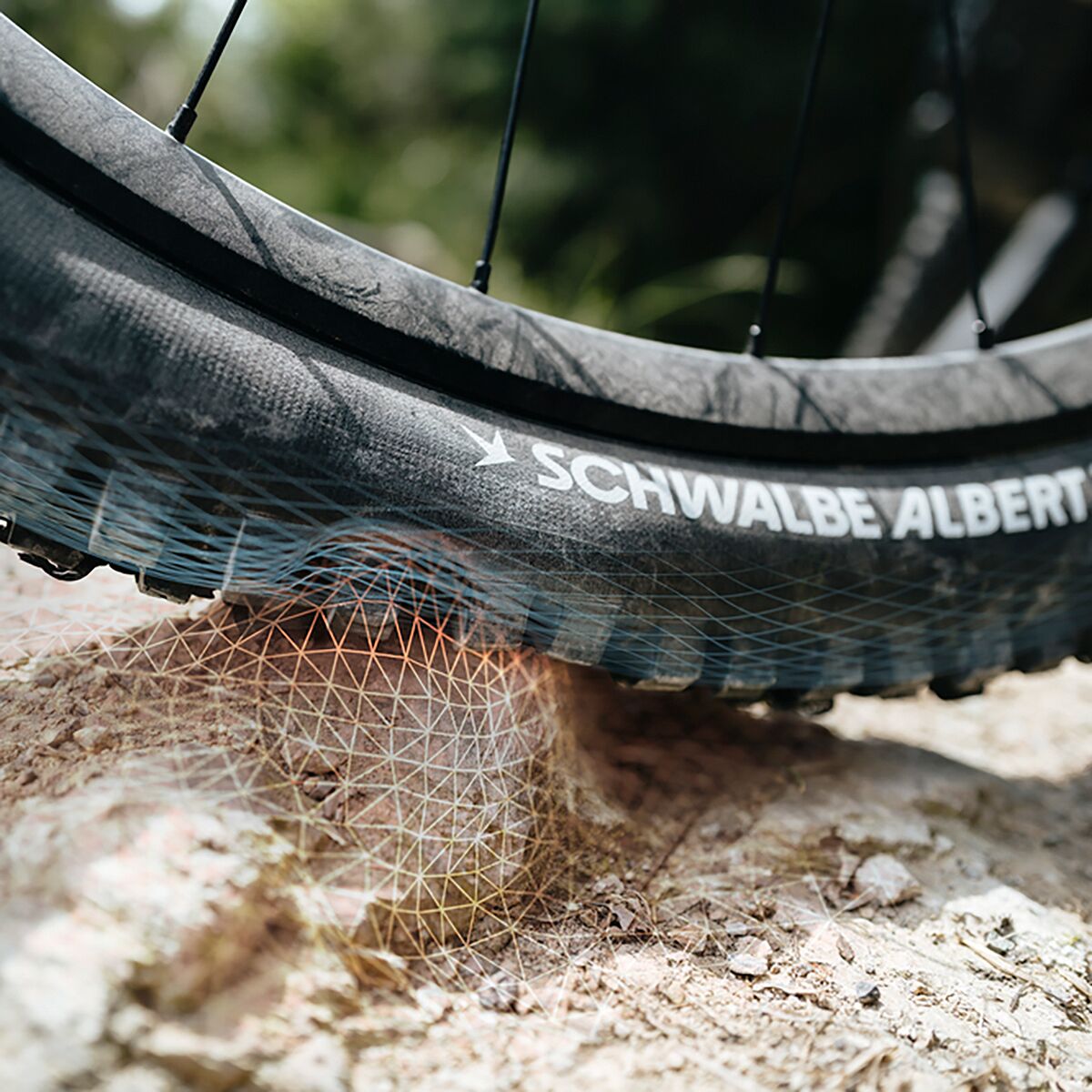 Schwalbe Albert Evolution Tubeless Radial Tire - 29in - Components