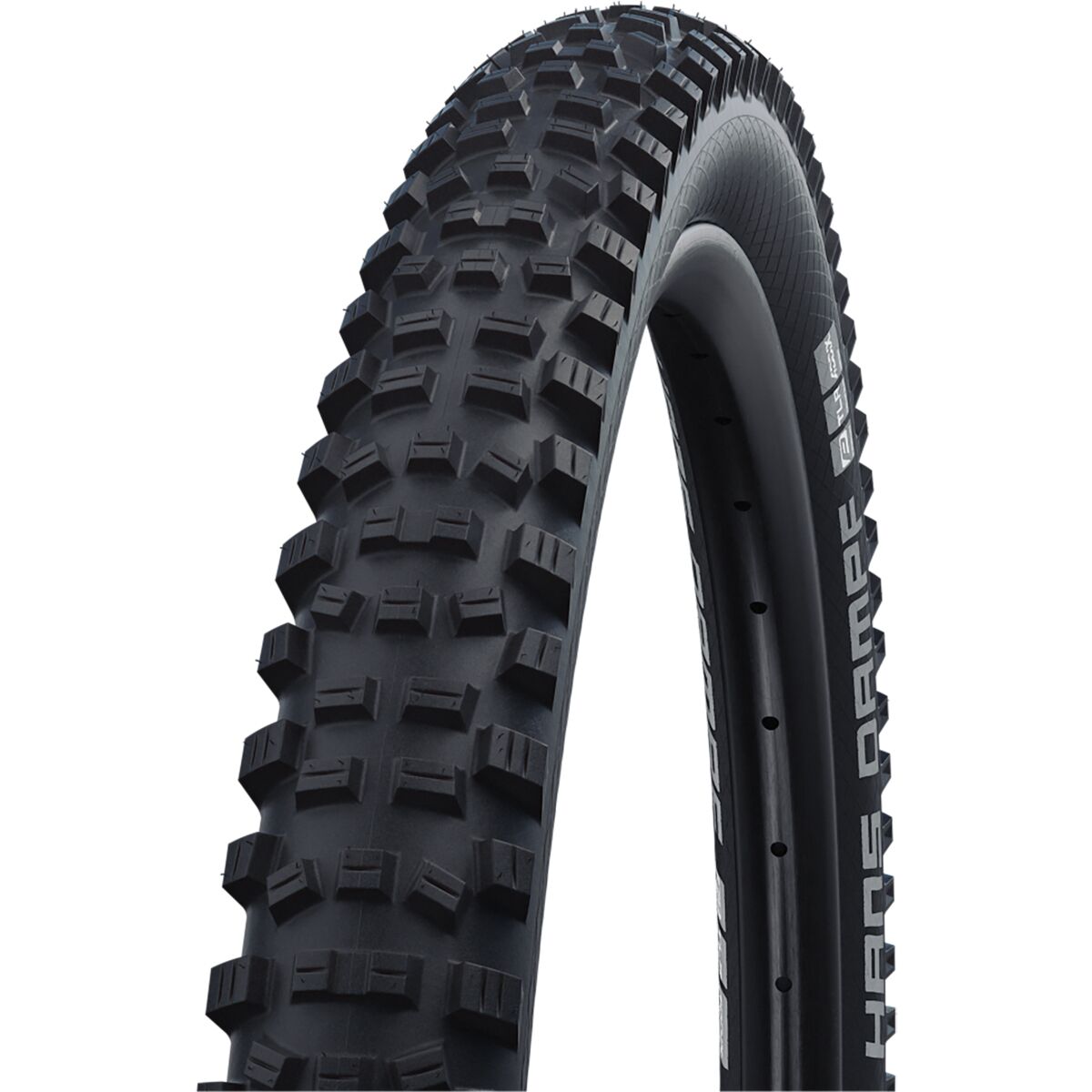 Schwalbe Hans Dampf Evolution Tubeless Tire - 27.5in Black, Addix Soft SuperGravity, 27.5x2.6in