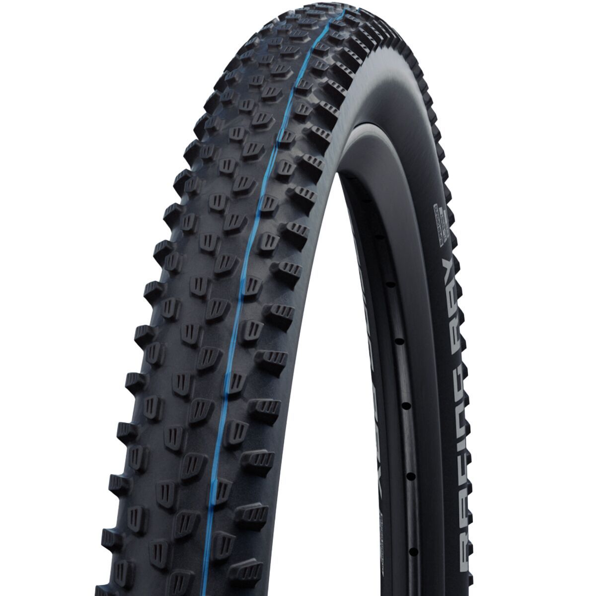 Schwalbe Racing Ray Evolution Tubeless Tire - 29in Black, Super Ground Addix SpeedGrip, 29x2.25in