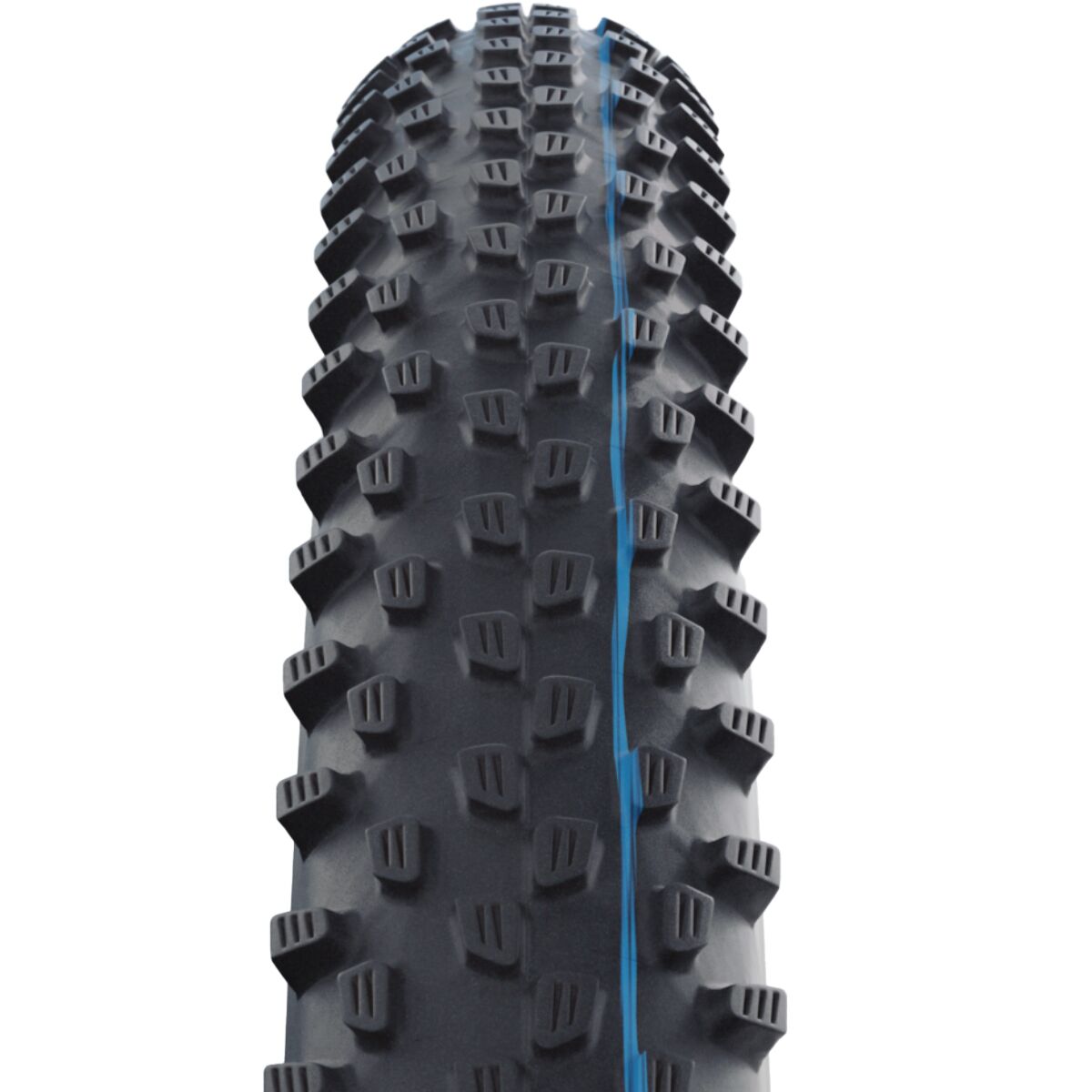 Schwalbe Racing Ray Evolution Tubeless Tire - 29in - Components