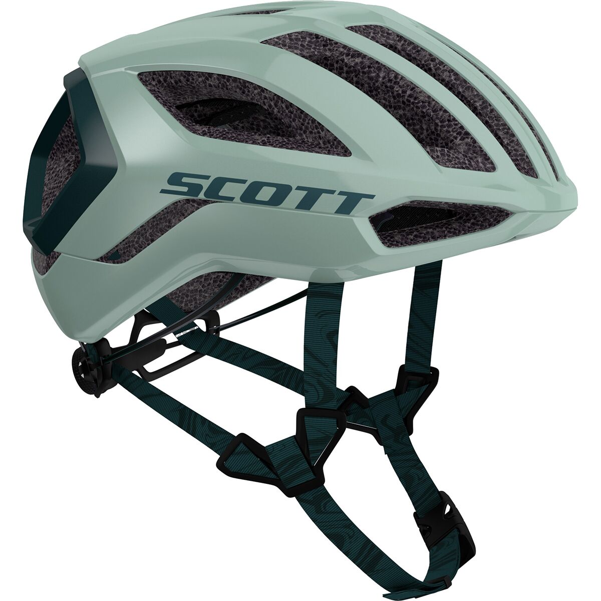 pageTitles.brandCategory