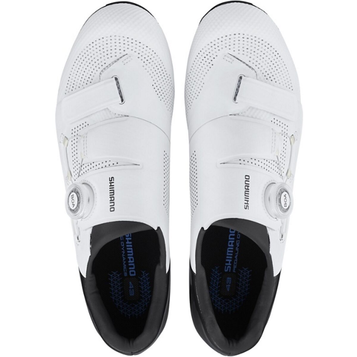 Shimano RC502 Limited Edition Cycling Shoe - Men's - Men