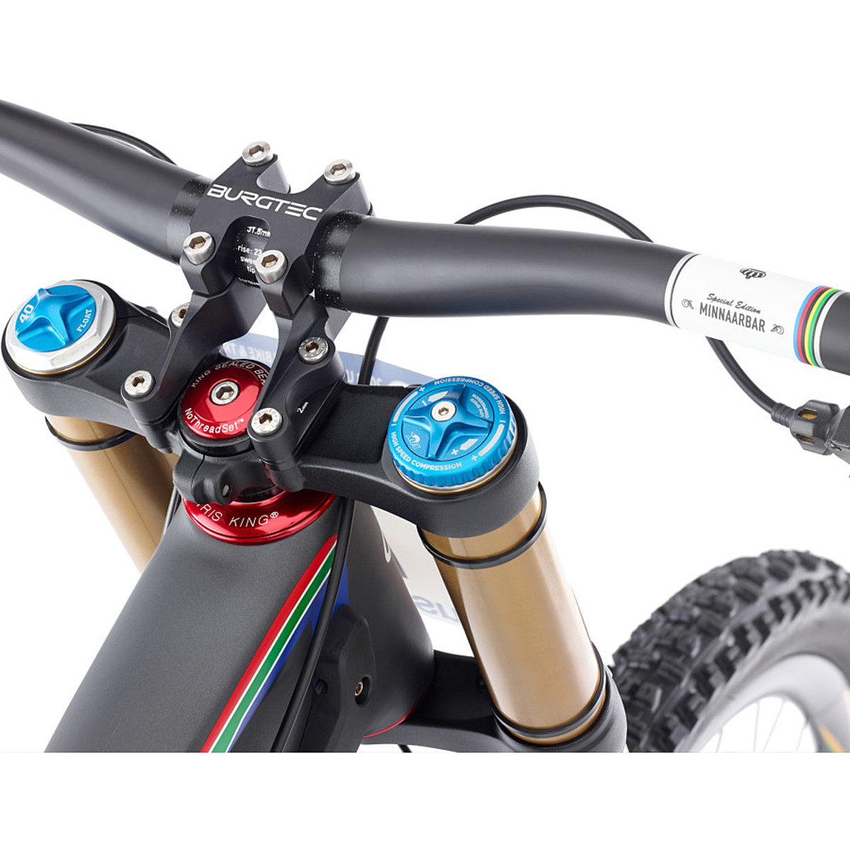 Santa Cruz Bicycles V-10 Carbon Minnaar Replica Complete Mountain