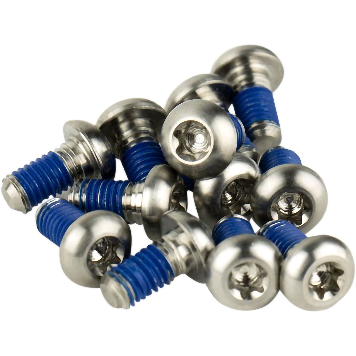 SRAM SRAM Rotor Bolt Kit - Titanium Silver, T25