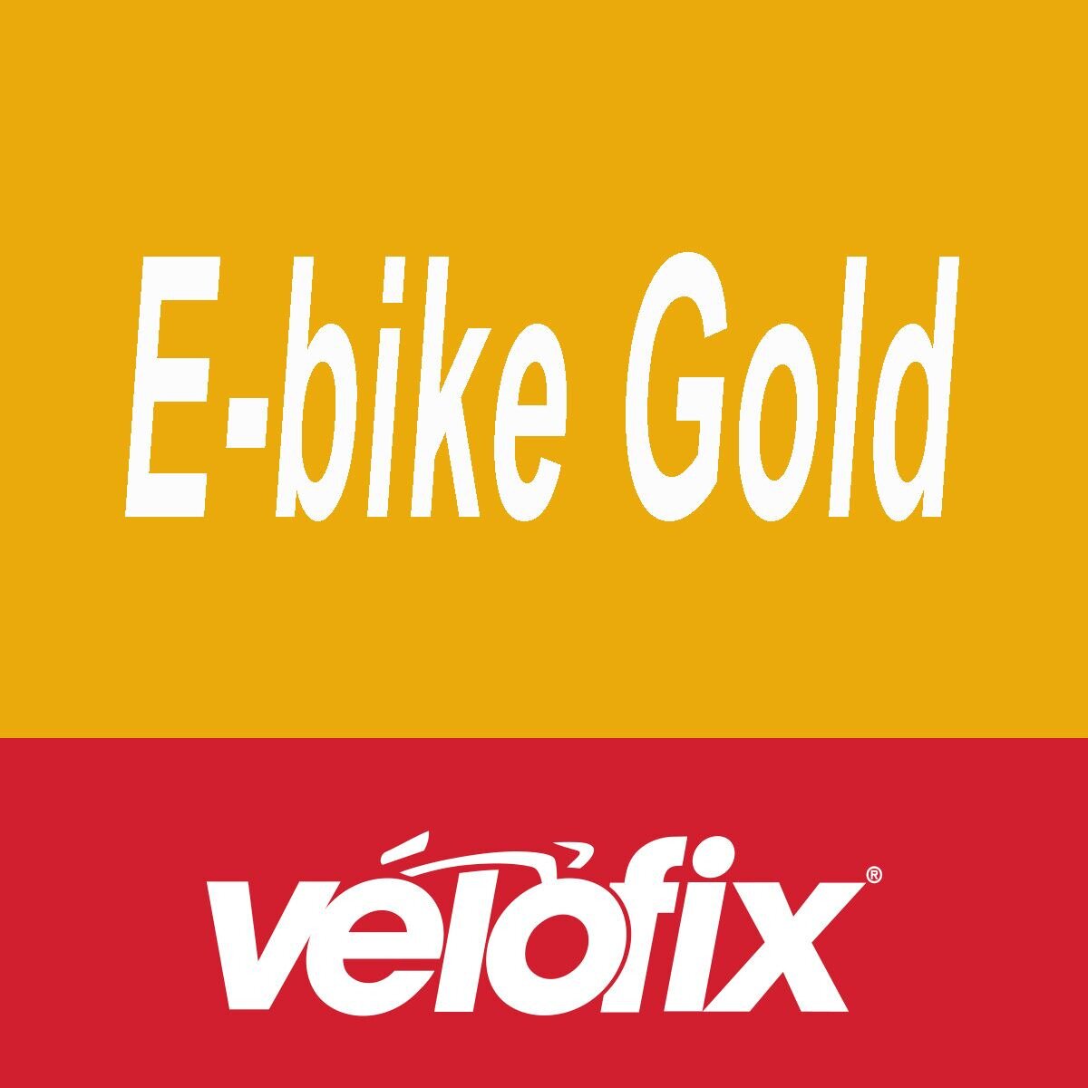 velofix Gold Preventative Maintenance - eBike Gold, 2 Year-eBike