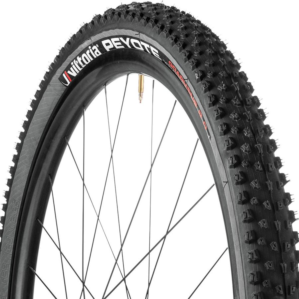 Vittoria Peyote G2.0 4C XC Trail Tire 29in Components