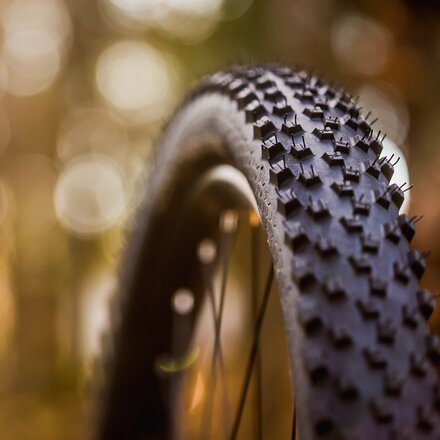 Continental Cross King Performance Tire - 27.5in - Components