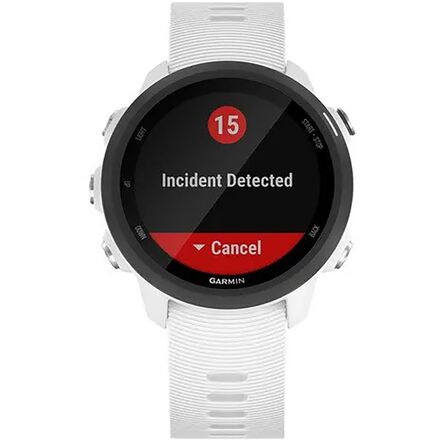 Garmin Forerunner 245 HR Music - Men