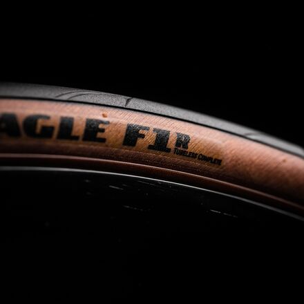 Goodyear Eagle F1 R Clincher Tire - Components
