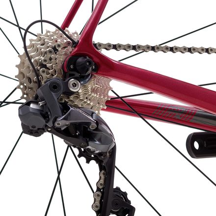 ridley-1000x666-1.jpg?width=