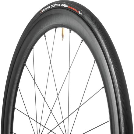 Vittoria Tires | Competitive Cyclist