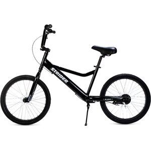 fat electric bicycle Kingbull Literider 2.0